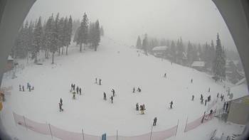 Драгобрат 12 січня 2014 року, 2014-01-12 16:00