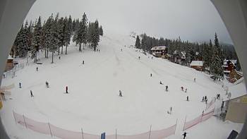 Драгобрат 16 січня 2014 року, 2014-01-16 10:00