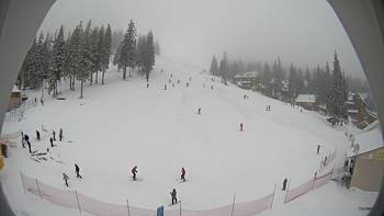 Драгобрат 16 січня 2014 року, 2014-01-16 13:00