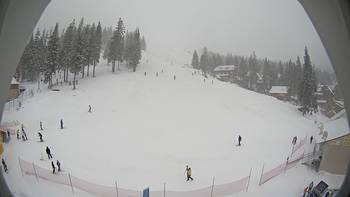 Драгобрат 17 січня 2014 року, 2014-01-17 16:00