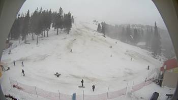 Драгобрат 20 січня 2014 року, 2014-01-20 13:00