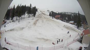 Драгобрат 21 січня 2014 року, 2014-01-21 10:00