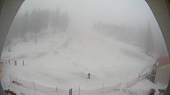 Драгобрат 22 січня 2014 року, 2014-01-22 10:00