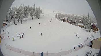 Драгобрат 26 січня 2014 року, 2014-01-26 10:00