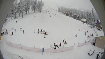 Драгобрат 27 січня 2014 року, 2014-01-27 13:00