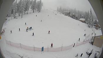 Драгобрат 27 січня 2014 року, 2014-01-27 16:00