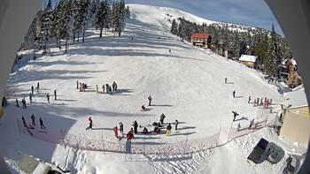 Драгобрат 31 січня 2014 року, 2014-01-31 13:00