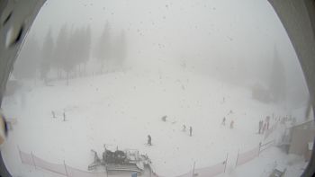 Драгобрат 12 січня 2016 року, 2016-01-12 13:00