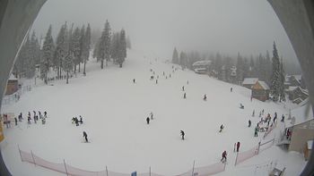 Драгобрат 13 січня 2016 року, 2016-01-13 10:00