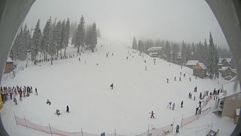 Драгобрат 13 січня 2016 року, 2016-01-13 13:00