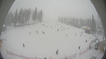 Драгобрат 31 січня 2016 року, 2016-01-31 13:00