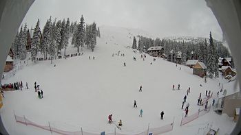 Драгобрат 31 січня 2016 року, 2016-01-31 16:00