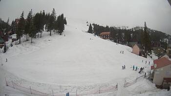 Драгобрат 12 березня 2024 року, 2024-03-12 13:00