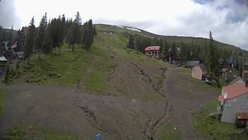Драгобрат 10 червня 2024 року, 2024-06-10 16:00