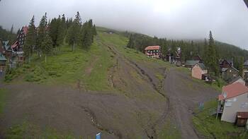 Драгобрат 11 червня 2024 року, 2024-06-11 10:00