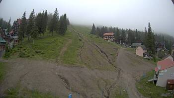 Драгобрат 25 червня 2024 року, 2024-06-25 10:00