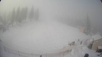 Драгобрат 8 грудня 2024 року, 2024-12-08 13:00