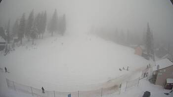 Драгобрат 8 грудня 2024 року, 2024-12-08 16:00