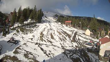 Драгобрат 31 жовтня 2025 року, 2025-10-31 10:00