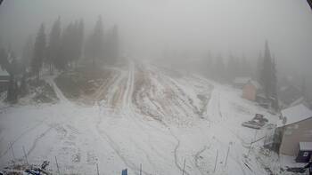 Драгобрат 22 листопада 2025 року, 2025-11-22 10:00