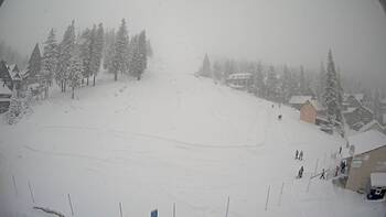 Драгобрат 31 грудня 2025 року, 2025-12-31 10:00