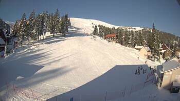 Drahobrat 19 january 2026 year, 2026-01-19 10:00