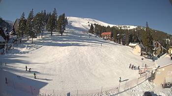 Drahobrat 20 january 2026 year, 2026-01-20 13:00