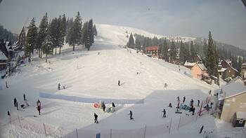 Драгобрат 23 січня 2026 року 10:00