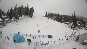 Drahobrat 23 january 2026 year, 2026-01-23 13:00