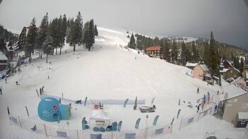 Drahobrat 25 january 2026 year, 2026-01-25 10:00