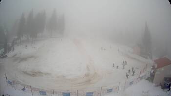 Drahobrat 27 january 2026 year 13:00