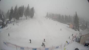 Драгобрат 28 січня 2026 року, 2026-01-28 13:00