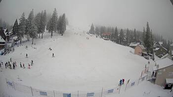 Драгобрат 29 січня 2026 року, 2026-01-29 13:00