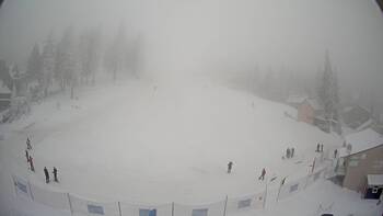 Драгобрат 31 січня 2026 року, 2026-01-31 10:00