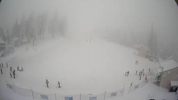 Драгобрат 31 січня 2026 року, 2026-01-31 13:00