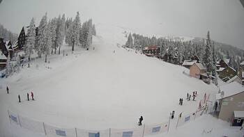 Drahobrat 2 february 2026 year, 2026-02-02 10:00