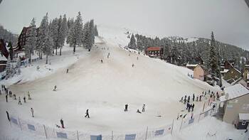 Drahobrat 10 february 2026 year, 2026-02-10 13:00