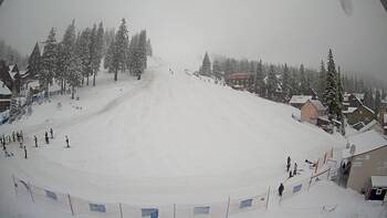 Drahobrat 12 february 2026 year 10:00