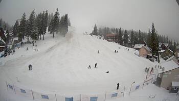 Drahobrat 12 february 2026 year 13:00