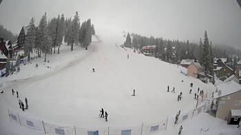 Drahobrat 16 february 2026 year, 2026-02-16 10:00