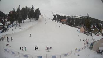 Drahobrat 17 february 2026 year, 2026-02-17 13:00