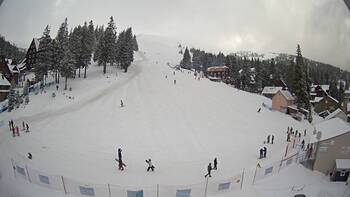 Драгобрат 19 лютого 2026 року, 2026-02-19 10:00