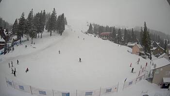 Драгобрат 19 лютого 2026 року, 2026-02-19 16:00