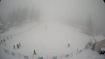 Драгобрат 20 лютого 2026 року, 2026-02-20 13:00