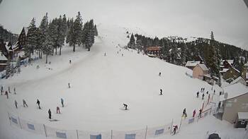 Драгобрат 21 лютого 2026 року, 2026-02-21 10:00