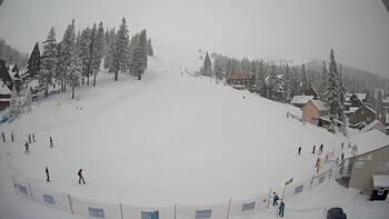 Драгобрат 24 лютого 2026 року, 2026-02-24 10:00