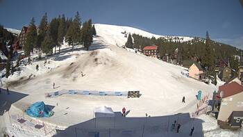 Драгобрат 8 березня 2026 року, 2026-03-08 10:00