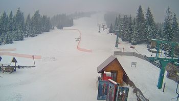 Пилипець 24 січня 2018 року, 2018-01-24 10:00