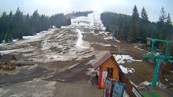 Пилипець 17 березня 2018 року, 2018-03-17 10:00