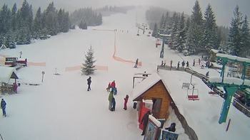 Пилипець 8 січня 2019 року, 2019-01-08 13:00